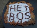 Klik op de afbeelding om de link te volgen