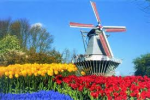 Klik op de afbeelding om de link te volgen