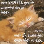 Klik op de afbeelding om de link te volgen