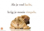 Klik op de afbeelding om de link te volgen