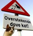 Klik op de afbeelding om de link te volgen