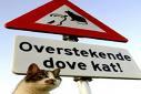 Klik op de afbeelding om de link te volgen