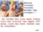 Klik op de afbeelding om de link te volgen