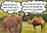 Klik op de afbeelding om de link te volgen