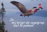 Klik op de afbeelding om de link te volgen