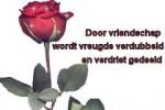 Klik op de afbeelding om de link te volgen