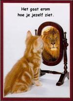 Klik op de afbeelding om de link te volgen