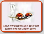 Klik op de afbeelding om de link te volgen