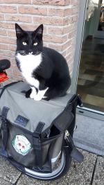 Klik op de afbeelding om de link te volgen