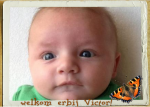 Klik op de afbeelding om de link te volgen