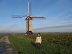 Klik op de afbeelding om de link te volgen