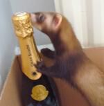 Klik op de afbeelding om de link te volgen