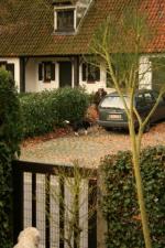 Klik op de afbeelding om de link te volgen