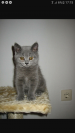 Klik op de afbeelding om de link te volgen