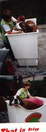 Klik op de afbeelding om de link te volgen