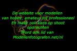 Klik op de afbeelding om de link te volgen