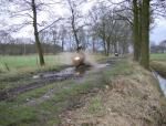 Klik op de afbeelding om de link te volgen
