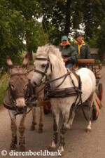 Klik op de afbeelding om de link te volgen