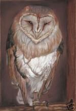 Klik op de afbeelding om de link te volgen