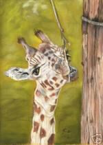 Klik op de afbeelding om de link te volgen