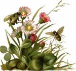 Klik op de afbeelding om de link te volgen