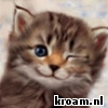 Klik op de afbeelding om de link te volgen