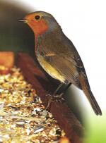 Klik op de afbeelding om de link te volgen