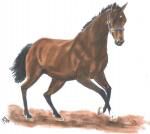 Klik op de afbeelding om de link te volgen