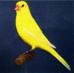 Klik op de afbeelding om de link te volgen