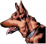 Klik op de afbeelding om de link te volgen