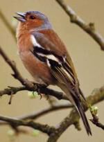 Klik op de afbeelding om de link te volgen