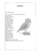 Klik op de afbeelding om de link te volgen