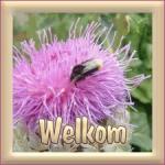 Klik op de afbeelding om de link te volgen