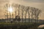 Klik op de afbeelding om de link te volgen