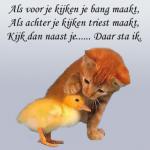 Klik op de afbeelding om de link te volgen