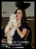 Klik op de afbeelding om de link te volgen
