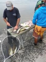 Klik op de afbeelding om de link te volgen