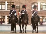 Klik op de afbeelding om de link te volgen