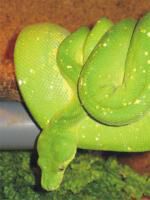 Klik op de afbeelding om de link te volgen