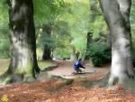Klik op de afbeelding om de link te volgen