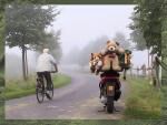 Klik op de afbeelding om de link te volgen