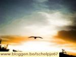 Klik op de afbeelding om de link te volgen