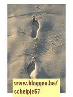 Klik op de afbeelding om de link te volgen