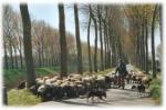 Klik op de afbeelding om de link te volgen
