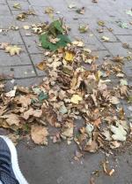 Klik op de afbeelding om de link te volgen