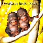 Klik op de afbeelding om de link te volgen