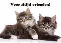 Klik op de afbeelding om de link te volgen