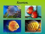 Klik op de afbeelding om de link te volgen