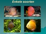 Klik op de afbeelding om de link te volgen