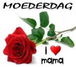 Klik op de afbeelding om de link te volgen